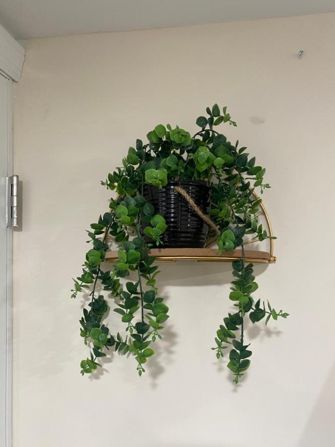 Private Room In South Philly Near Arenas! フィラデルフィア エクステリア 写真